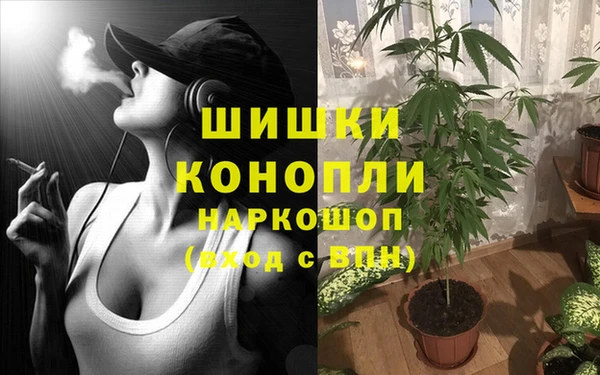 эйфоретик Магас