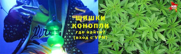 стафф Магадан