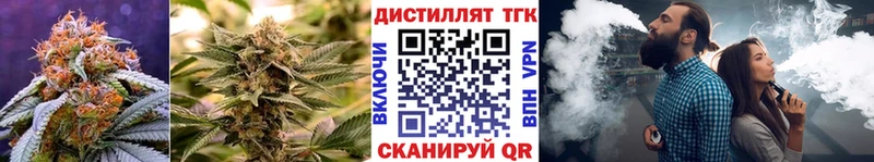 ТГК Wax  Купить  Иланский 